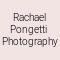 Rachael Pongetti  Photography